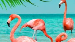 Flamingo strandlaken