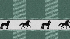Shanti keukendoek (set van 6)
